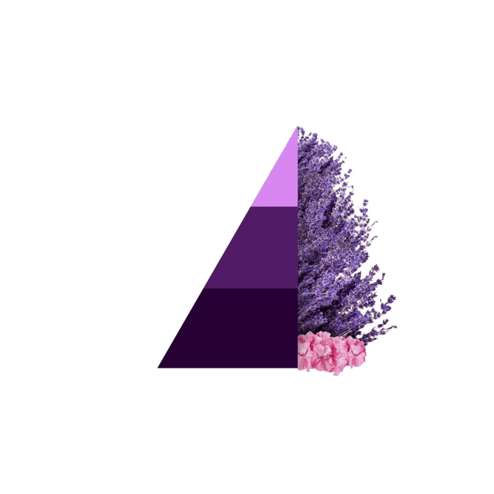 AMOUR Parfums Sve za rublje HOROMIA parfem za pranje rublja AROMATIC LAVENDER (lavanda)