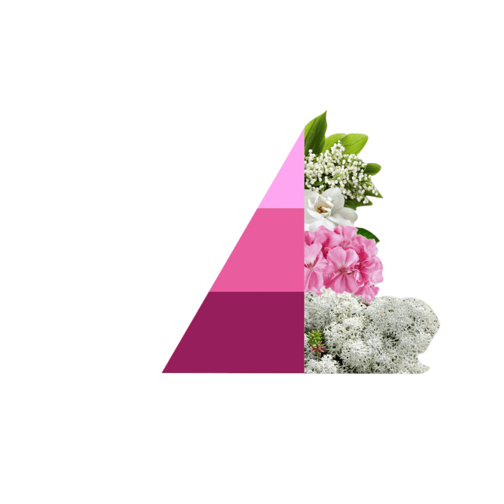 AMOUR Parfums Sve za rublje HOROMIA parfem za pranje rublja SOFFICE TALCO
