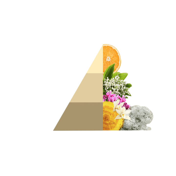 AMOUR Parfums Sve za rublje HOROMIA parfem za pranje rublja GOLD ARGAN