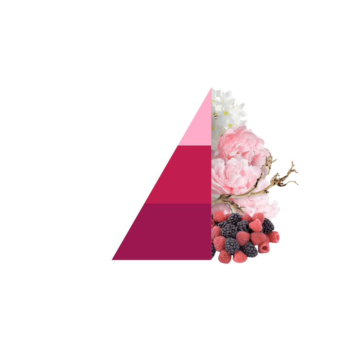 AMOUR Parfums Sve za rublje HOROMIA parfem za pranje rublja PETALI DI PEONIA
